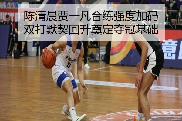 陈清晨贾一凡合练强度加码 双打默契回升奠定夺冠基础